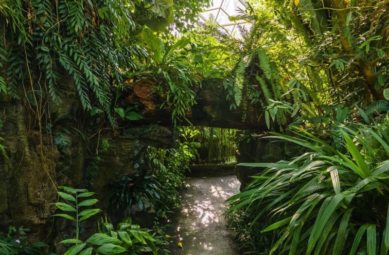 Missouri Botanical Garden Missouri Botanical Garden