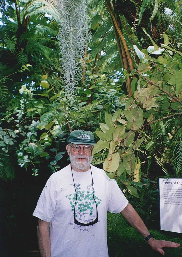 oliver-sacks-nybg-ferns Oliver Sacks pictured amongst the ferns at New York Botanical Gardens
